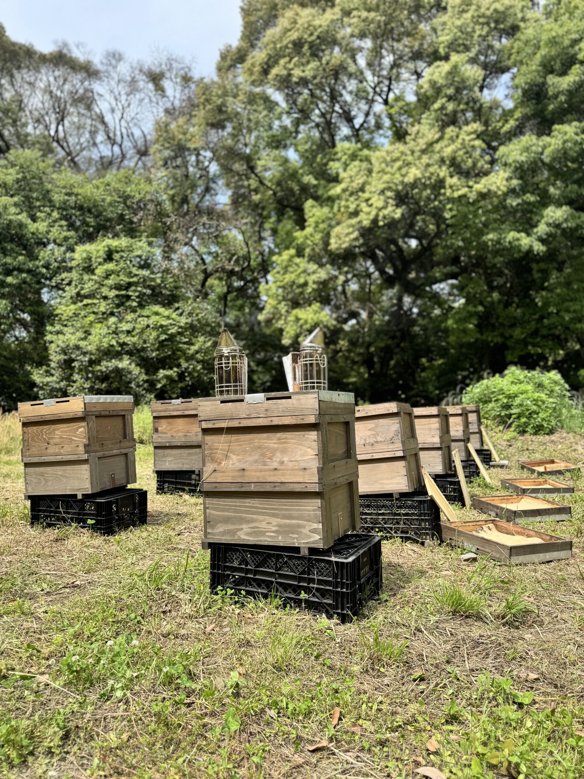 沖養蜂場